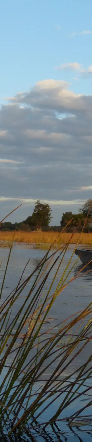 Fahre im Mokoro im Okavango Delta